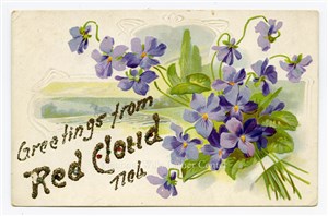 Image description is not available for PHO-264-791